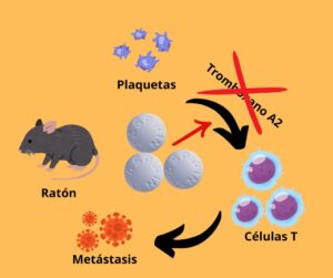 el_mejor_tratamiento_contra_el_cáncer_podría_ser_la_aspirina