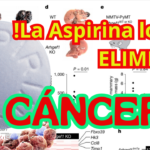el_mejor_tratamiento_para_el_cáncer